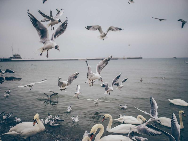 sudoku auto notes screenshot 6