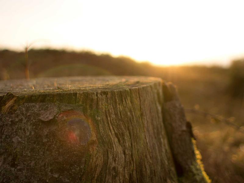 sudoku error checking screenshot 5